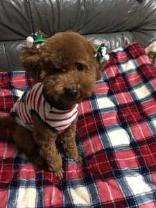 8ABE0B32-D60E-4634-8996-2AD6DD6932E3