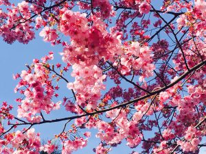 B20889C7-8777-4F2E-AD6E-73ACBCCA85FA
