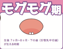スクリーンショット 2018-08-18 11.58.48