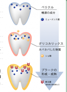 スクリーンショット 2019-01-19 14.51.14