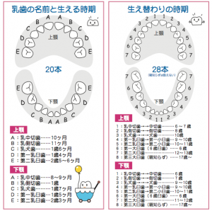 スクリーンショット 2019-02-14 16.26.32