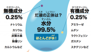 スクリーンショット 2019-08-29 10.15.08