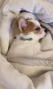 0B6D8C0C-F8F2-4891-9A95-3D44859740E7