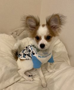 1600B666-069E-4C72-A525-08D7C16E3FF7