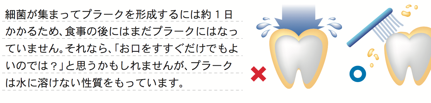 スクリーンショット 2024-02-26 10.38.40