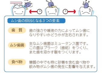 スクリーンショット 2025-02-18 9.47.40